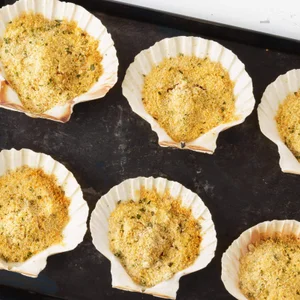 Scallop Gratin