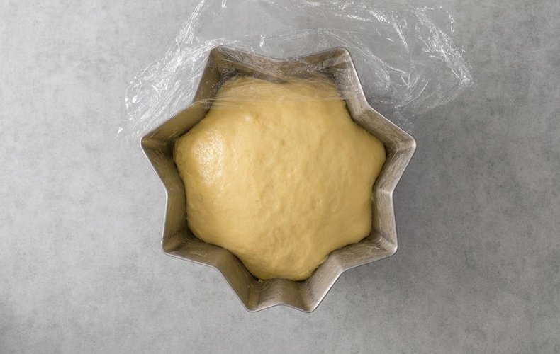 Homemade Pandoro, step 4: the dough rising in the pandoro mold