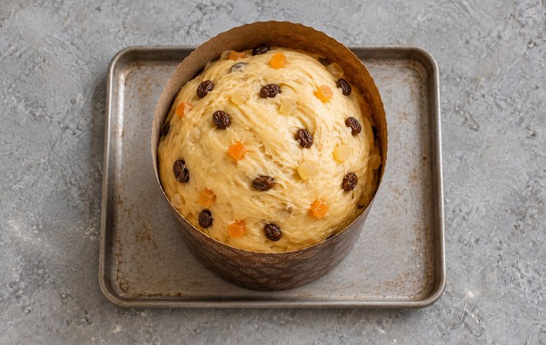 Homemade Panettone, step 4: the dough rising in the panettone mold