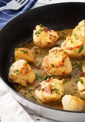 Recipe Pan-Seared Scallops
