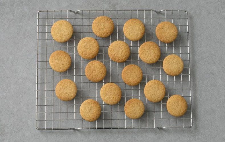 Reindeer Cookies, step 5: round cookies baked on a baking sheet lined with parchment paper