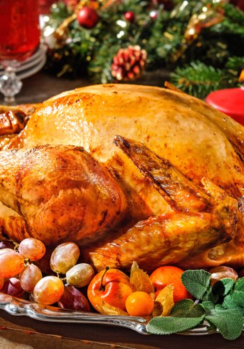 Recipe Stuffed Christmas Turkey